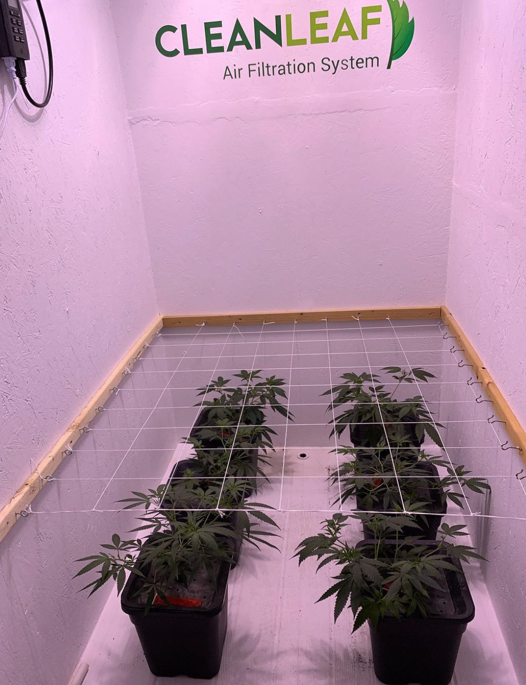 CleanLeaf small grow room experiment.