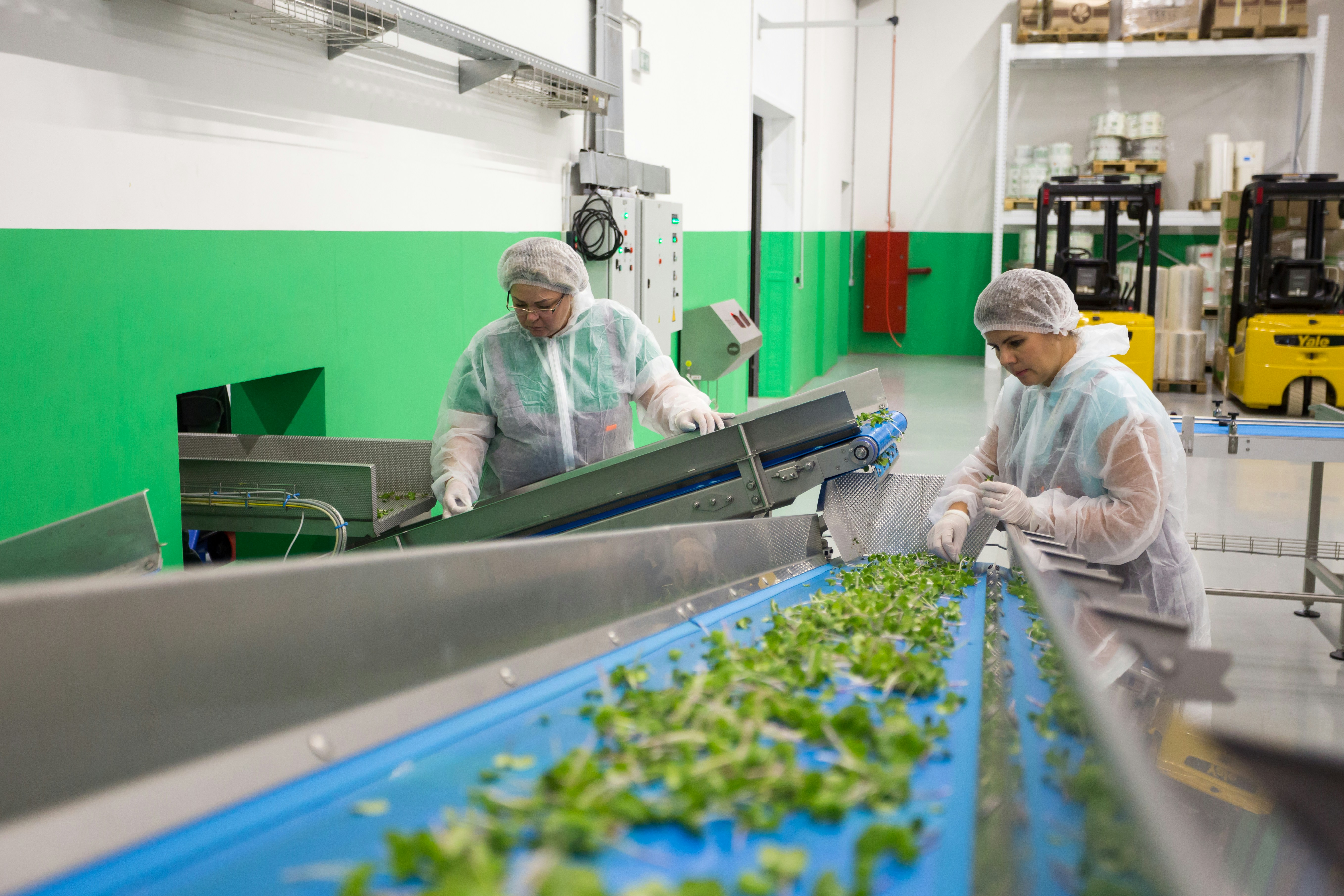 Material Processing Facilities