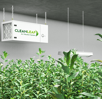 CleanLeaf grow room air filtration systems hanging in a grow room.