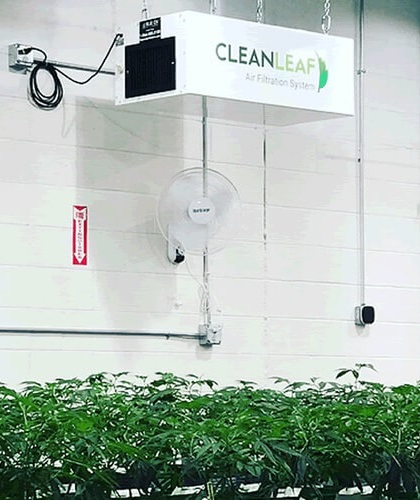 CleanLeaf air scrubber suspended from the ceiling in a growing facility.