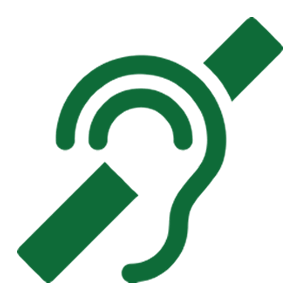 CleanLeaf Noise Icon