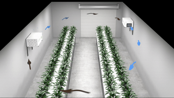 CleanLeaf systems show installed in a grow room providing air filtration circulation.